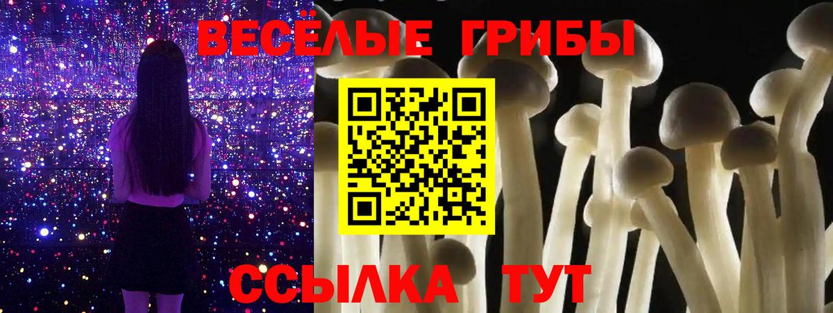 Галлюциногенные грибы GOLDEN TEACHER Михайловск